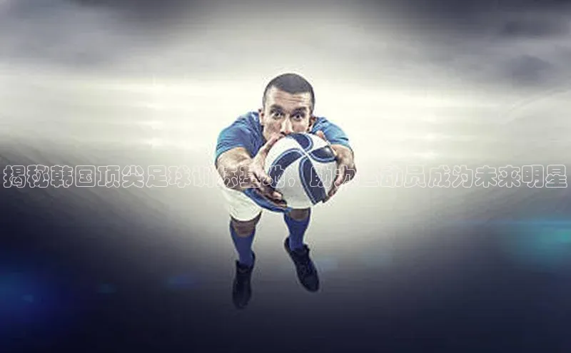 米乐yy易游体育官网度小满支付揭秘韩国顶尖足球训练基地，助力运动员成为未来明星