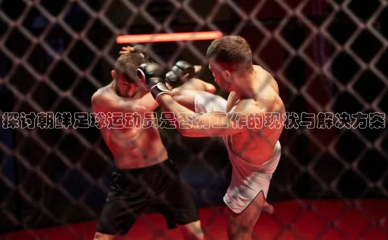 YY易游体育网址宇信科技探讨朝鲜足球运动员是否有工作的现状与解决方案