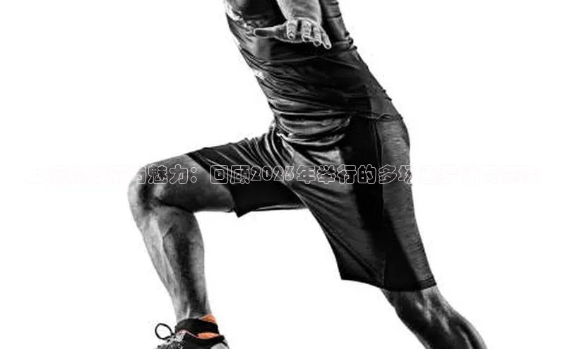 m6yy易游每日互动上海的激情与魅力：回顾2023年举行的多场重要体育赛事