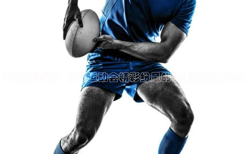 青春的赛道：校园运动会精彩纷呈的赛事报告与亮点