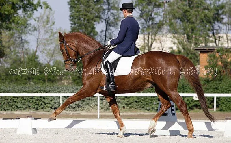 qq运动：极限，挑战自我-全国赛事精彩纷呈，等你来战！