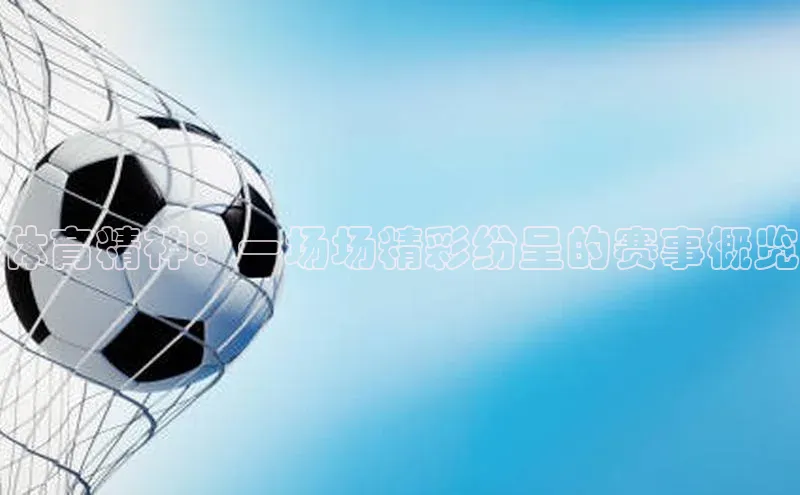 体育精神：一场场精彩纷呈的赛事概览