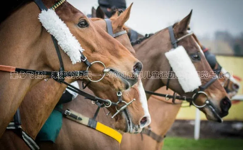 童心飞扬：未来的力量——2023成都儿童运动盛事概览与展望