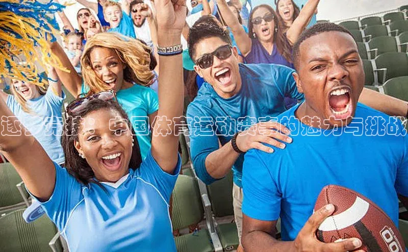 逐梦竞技：中国体育运动赛事的魅力与挑战