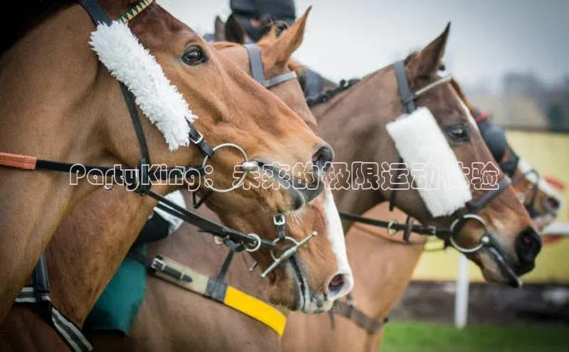 PartyKing：未来的极限运动体验
