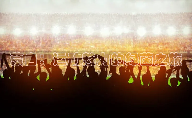 蒙自：运动魅力的绿茵之旅