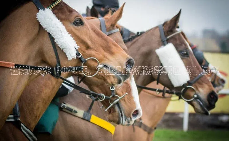 壮美风采：2023年广西运动会精彩赛事回顾与展望