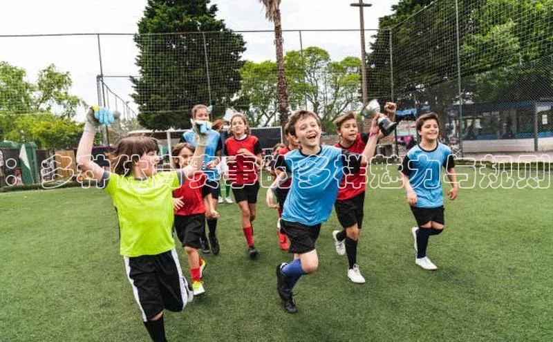 ：多种体育赛事的多样魅力与规则