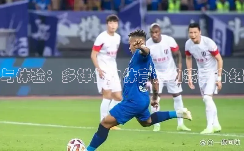 与体验：多样化的体育运动赛事介绍