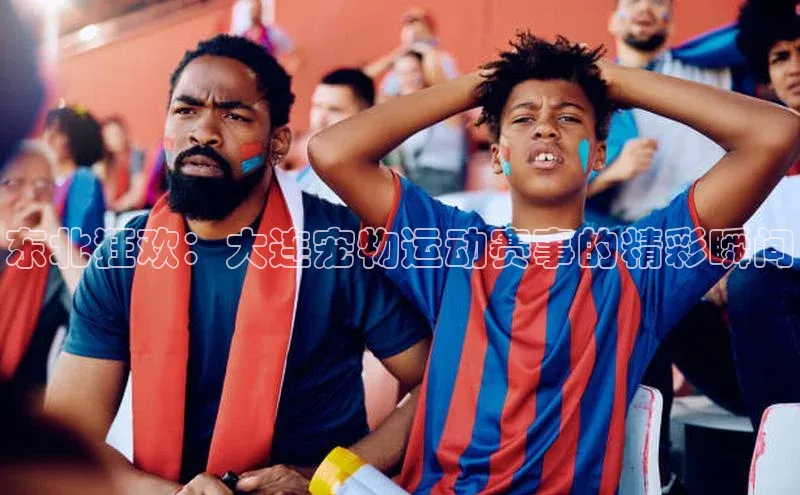 东北狂欢：大连宠物运动赛事的精彩瞬间