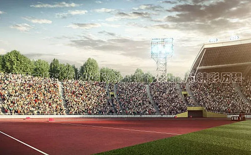 冠军之路：从800米赛事到个人突破的精彩历程