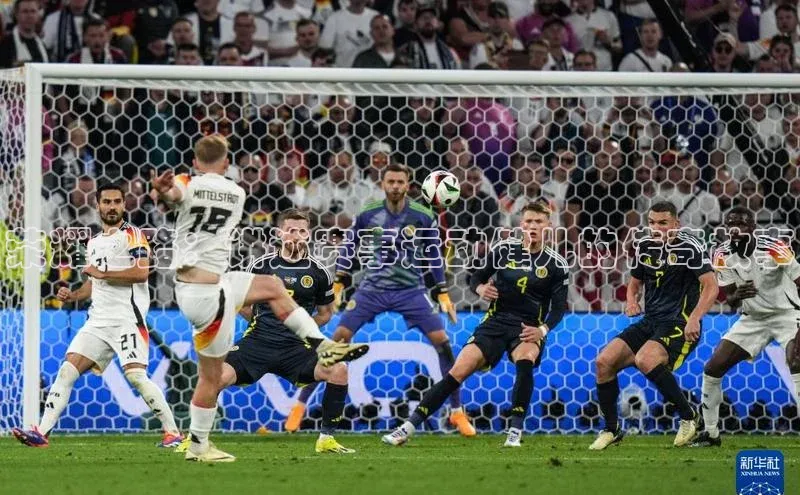 荣耀之路：讲述赛事运动健儿的传奇故事