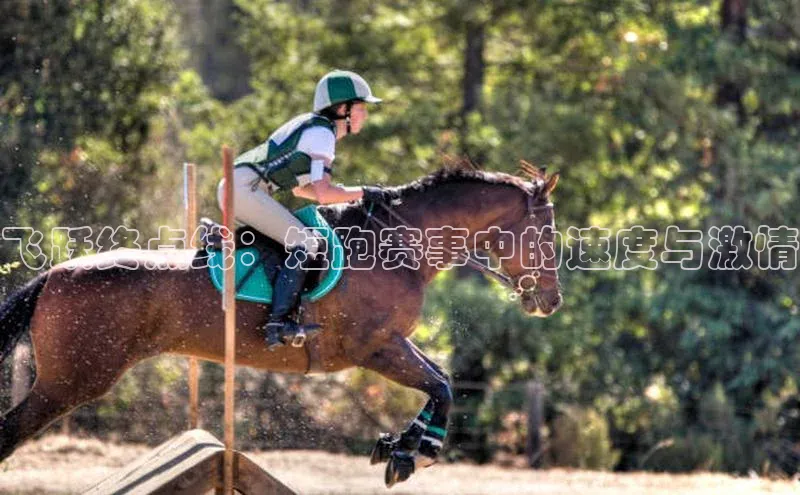 飞跃终点线：短跑赛事中的速度与激情