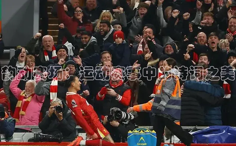 韵动赛场：运动赛事中的诗词之美