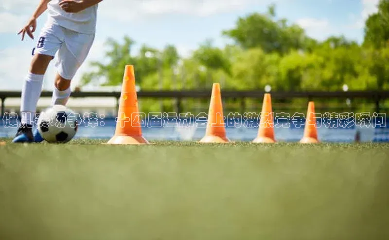 健儿赛场争锋：十四届运动会上的激烈竞争与精彩瞬间
