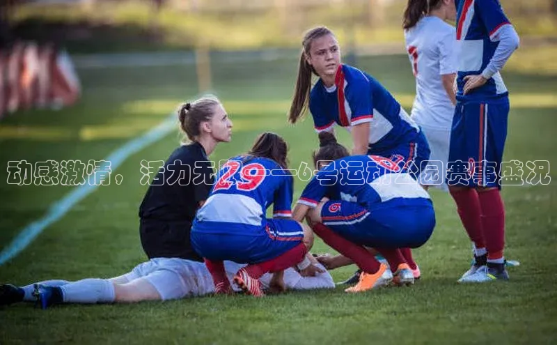 米乐yy易游体育官网