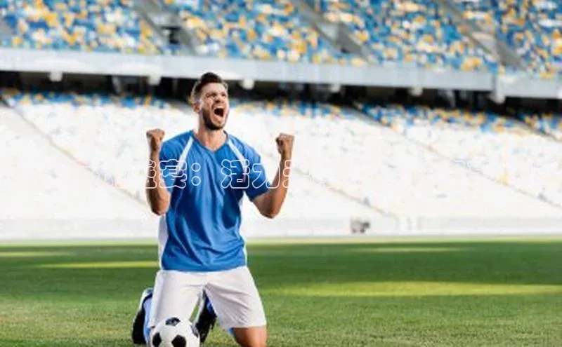 yy易游体育官网